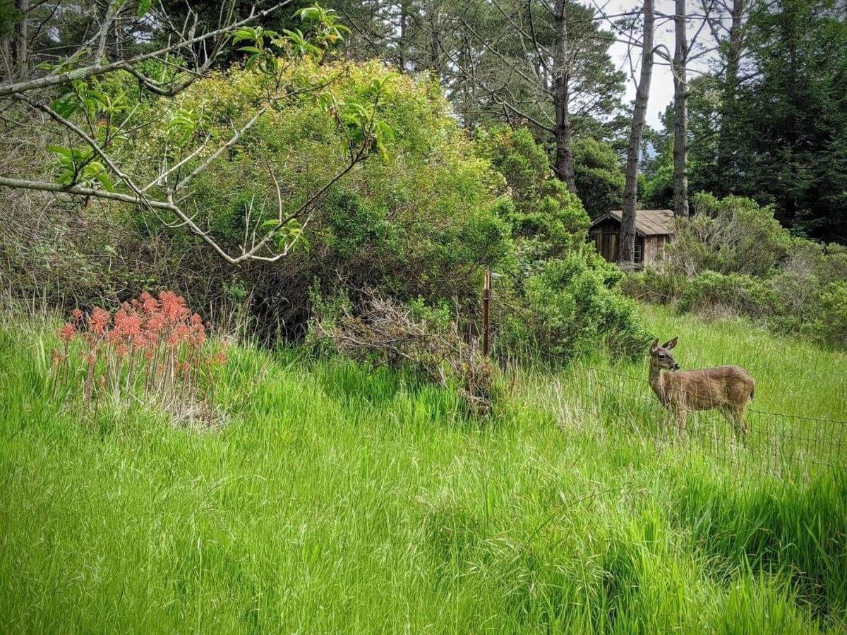 The Quail'S Nest Retreat Vila Point Reyes Station Exterior foto